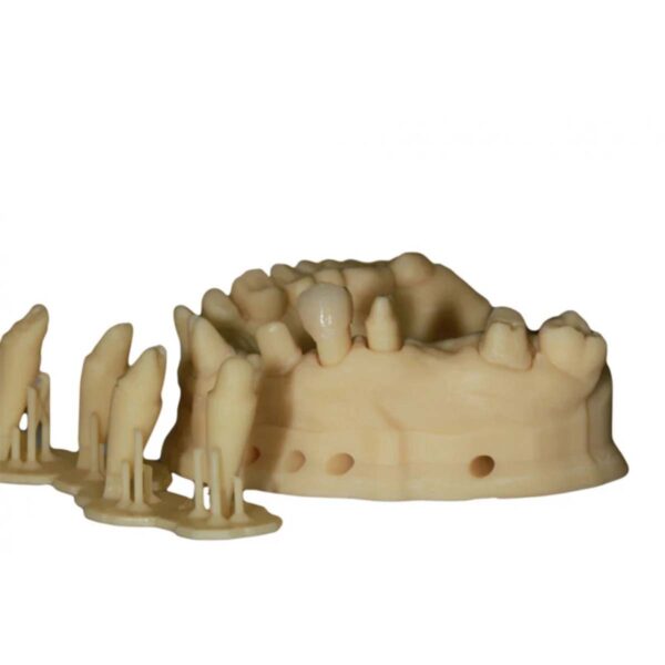 3D Drucker DLP Resin - Druckwege - Dental