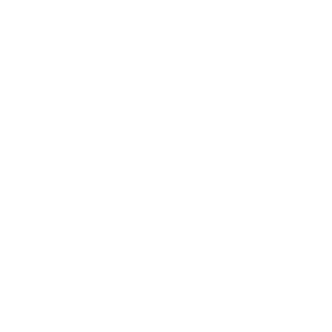 Brandschutz-Icon_weiss